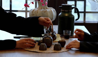 品古树茶香，体验健康生活之道