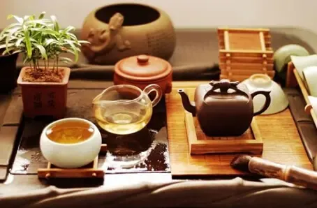 品古树茶香，体验健康生活之道